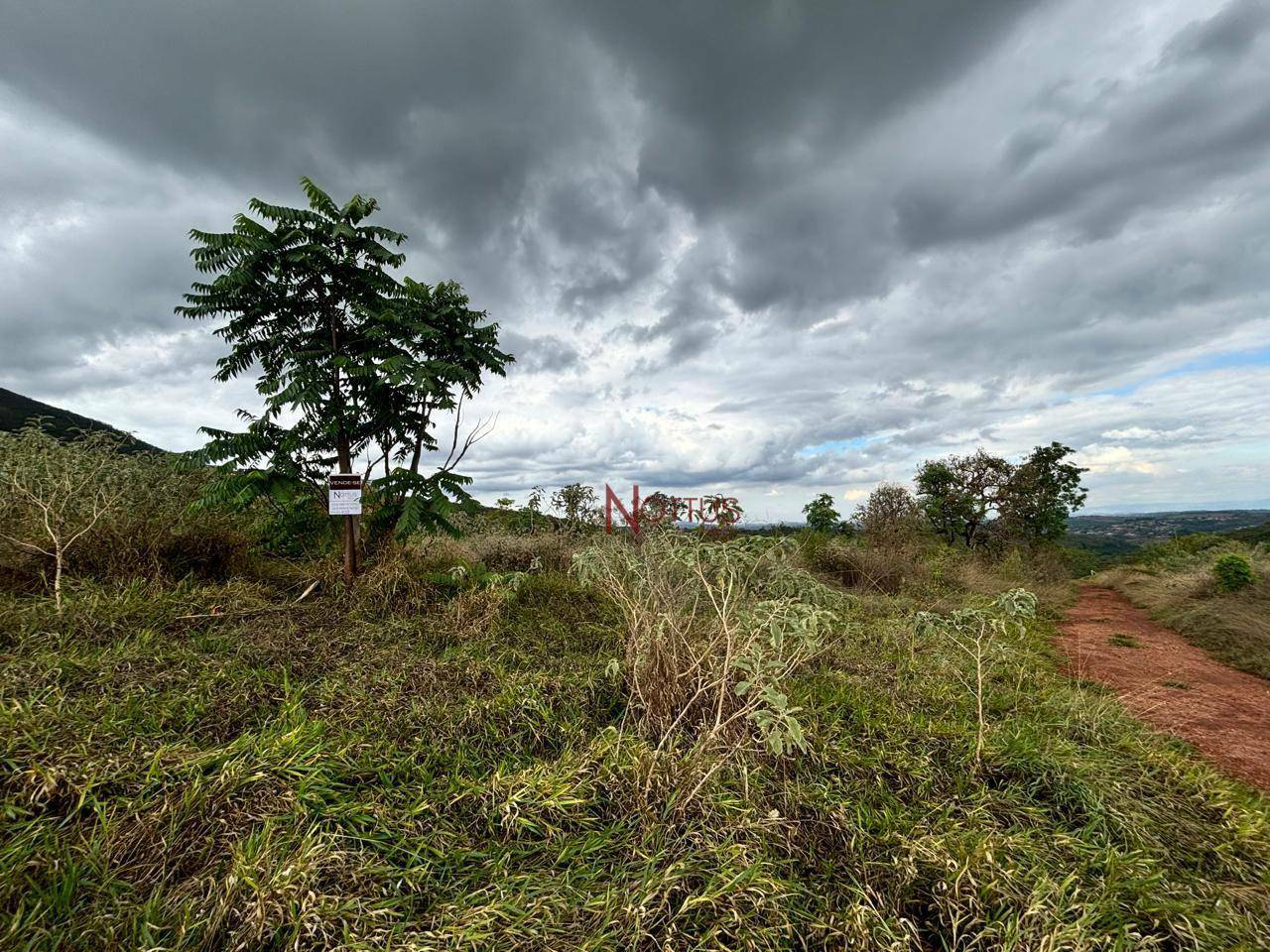 Terreno à venda, 1500M2 - Foto 4