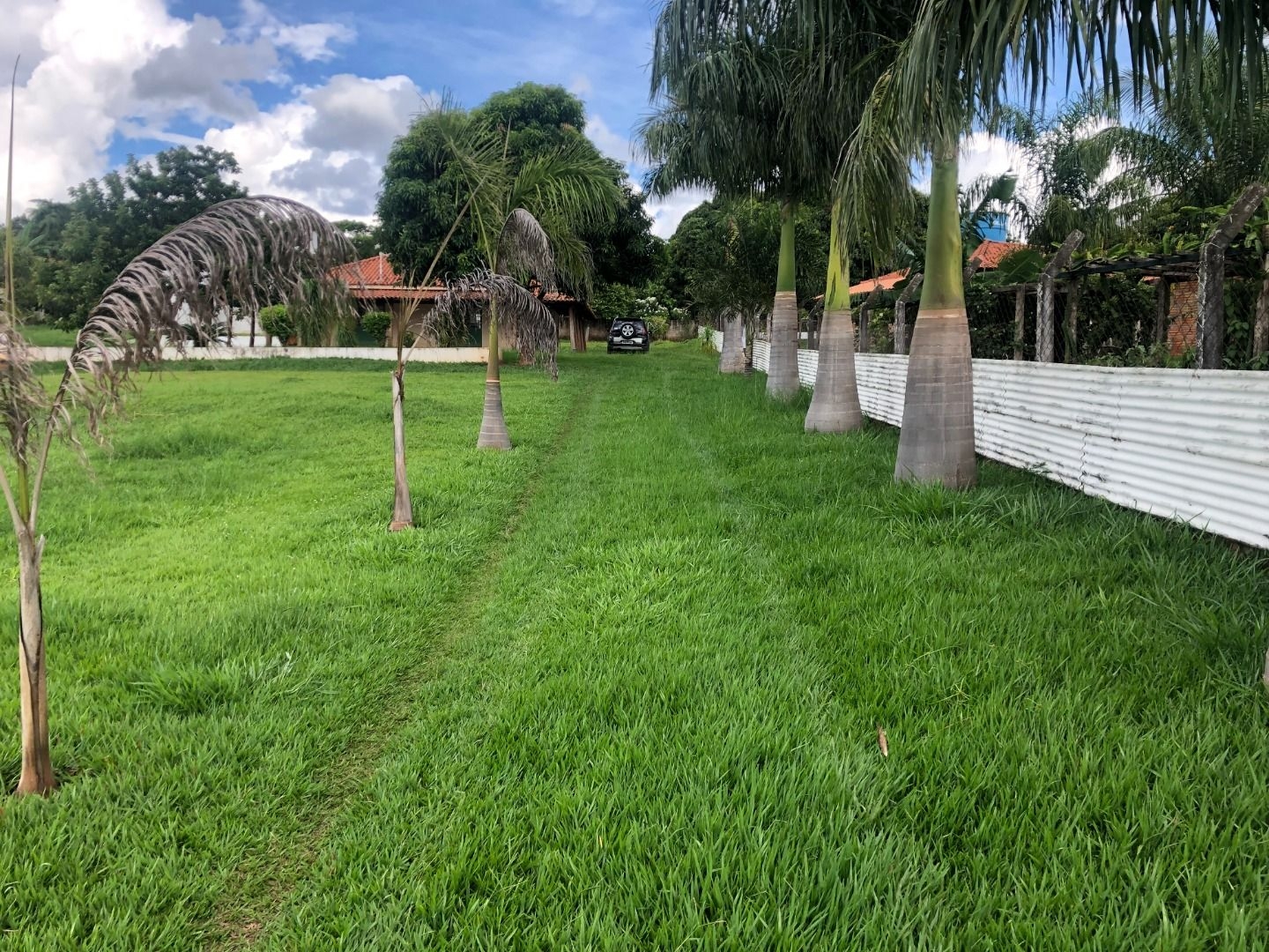 Fazenda à venda com 2 quartos, 160m² - Foto 4