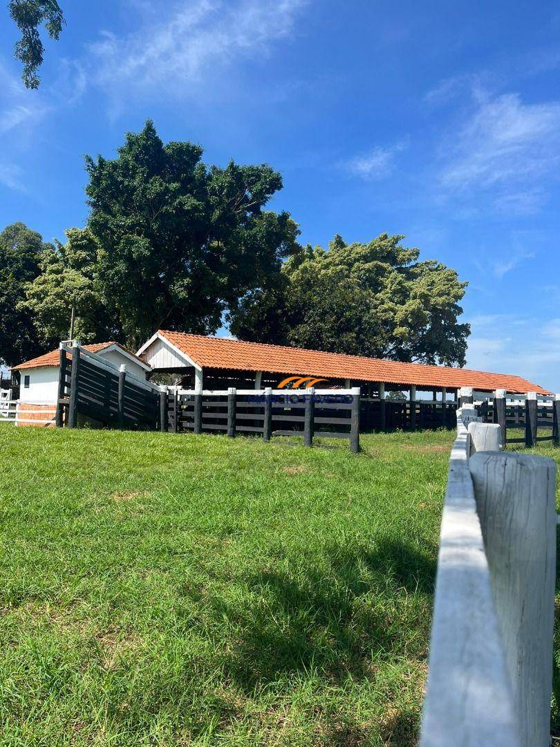 Fazenda, 322 hectares - Foto 1