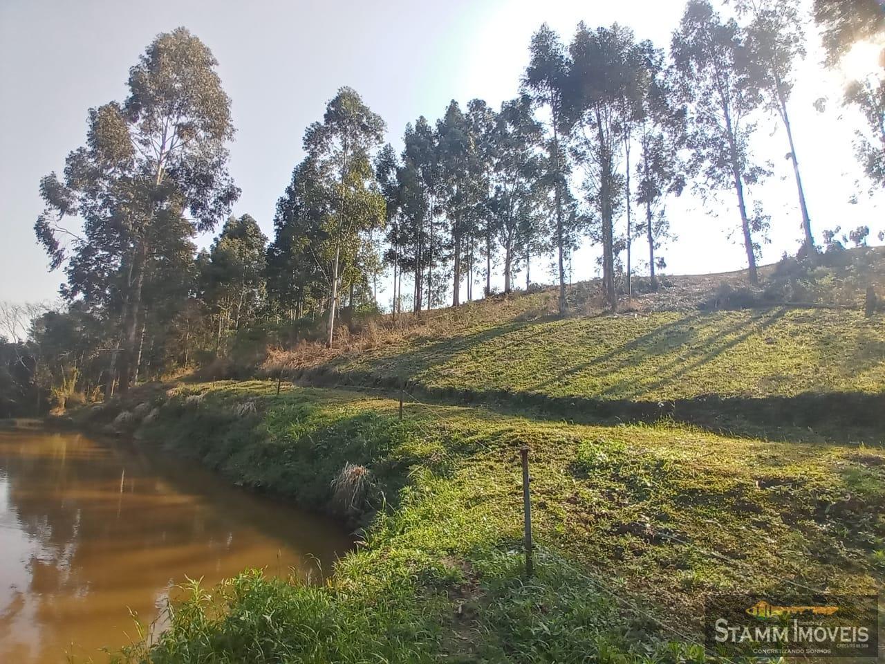 Fazenda à venda com 4 quartos, 3m² - Foto 38