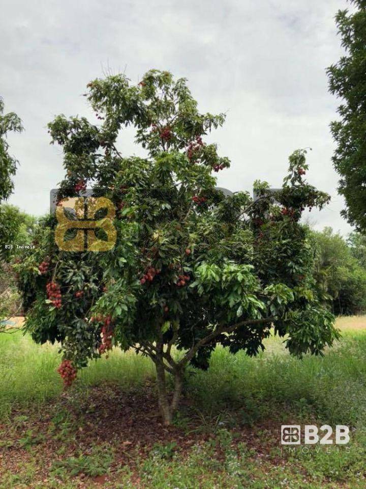 Chácara à venda com 3 quartos, 5796M2 - Foto 15