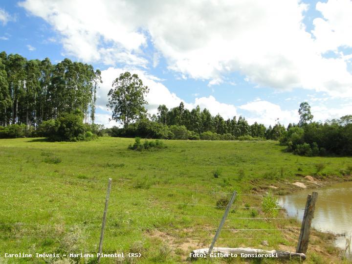 Fazenda à venda com 3 quartos, 160000m² - Foto 18