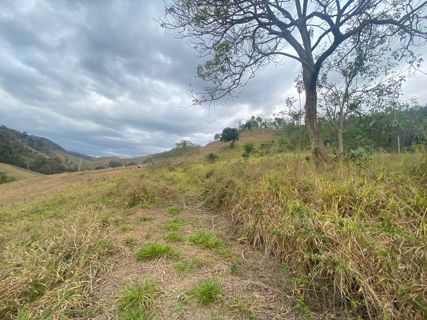 Sítio à venda com 5 quartos, 170000m² - Foto 38
