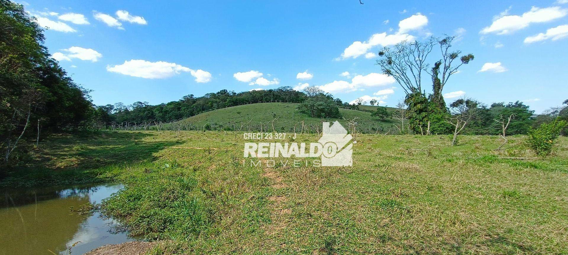 Haras e Área Rural Padrão à venda com 16 quartos, 2500m² - Foto 179