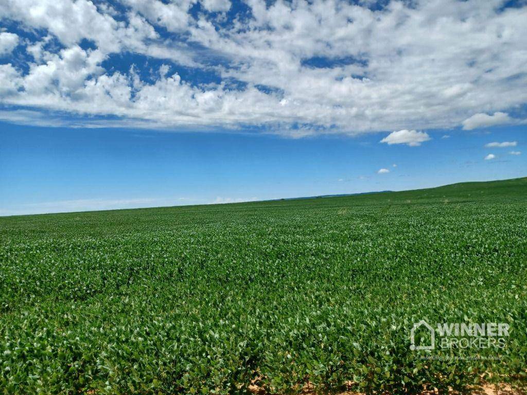 Fazenda à venda, 31060000M2 - Foto 13