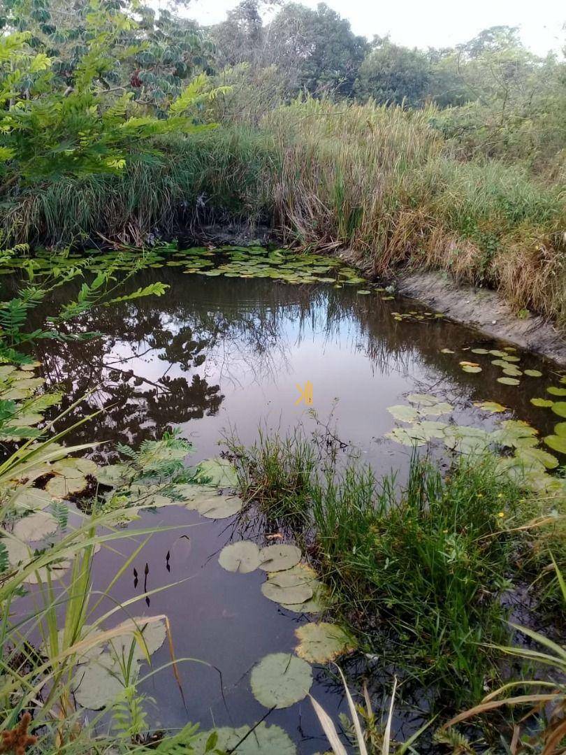 Terreno à venda, 160000M2 - Foto 1