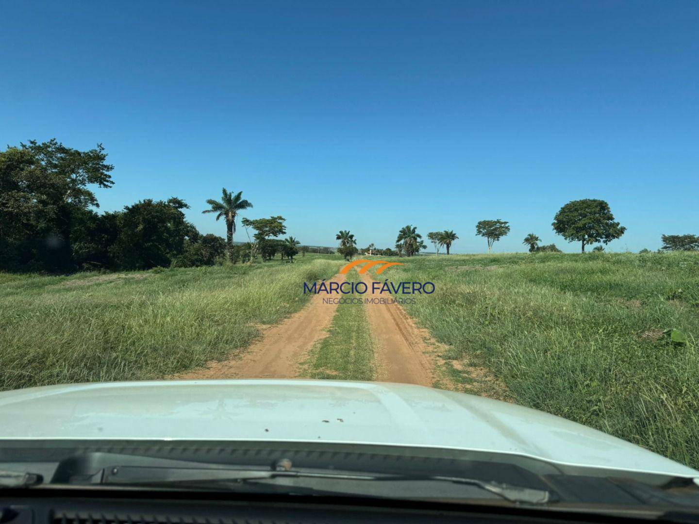 Fazenda-Sítio-Chácara, 152 hectares - Foto 5