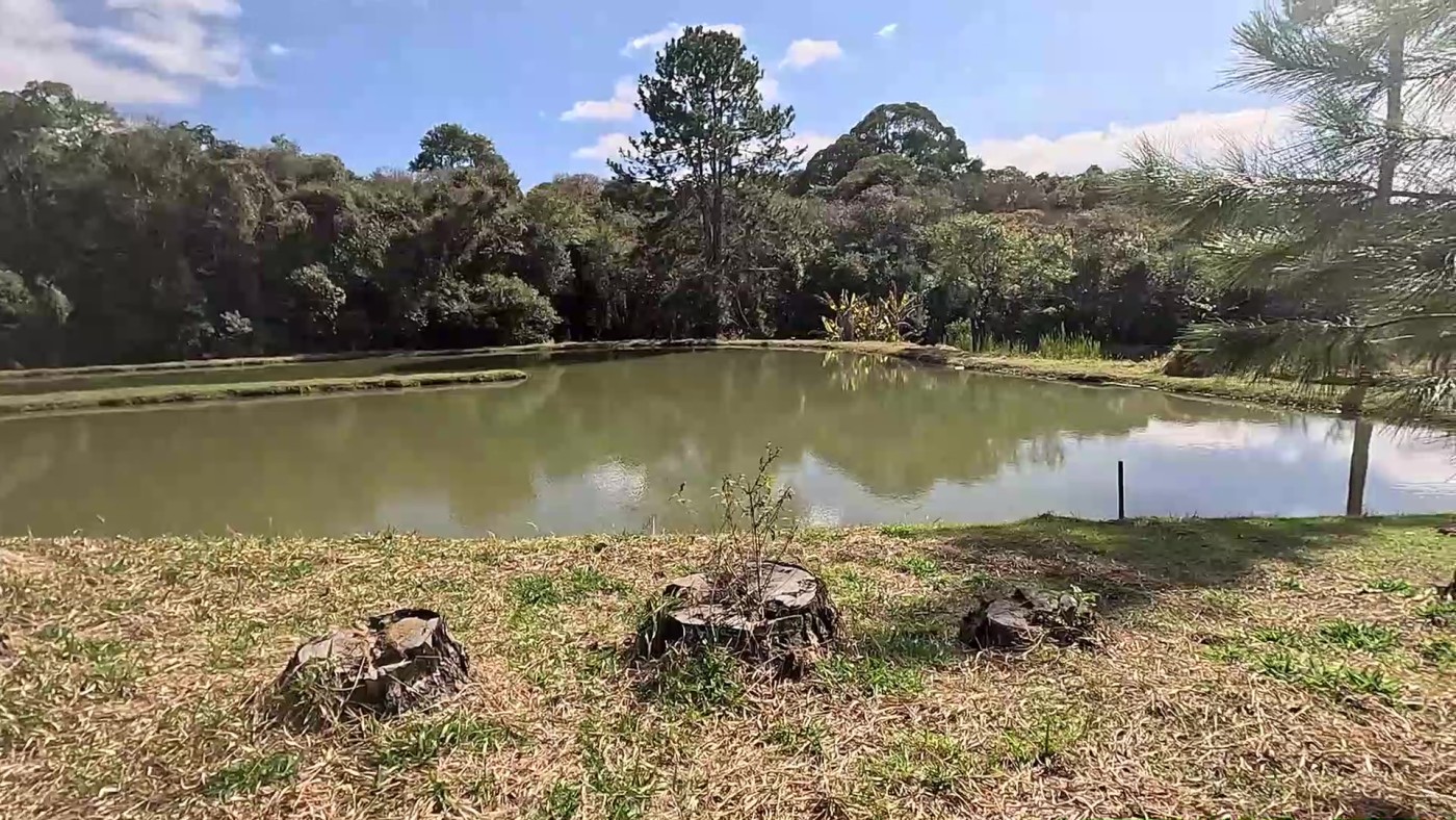 Sítio à venda com 3 quartos, 24000m² - Foto 4