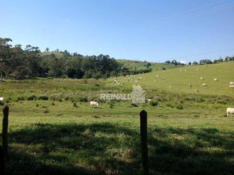 Fazenda à venda com 3 quartos, 250m² - Foto 7