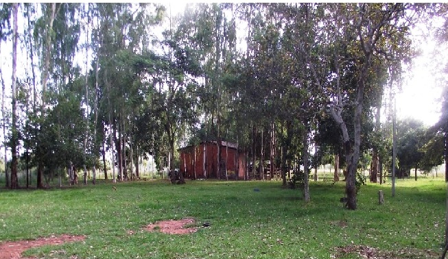 Fazenda à venda - Foto 2