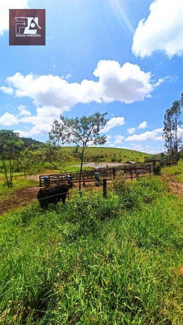 Terreno à venda, 24200M2 - Foto 4