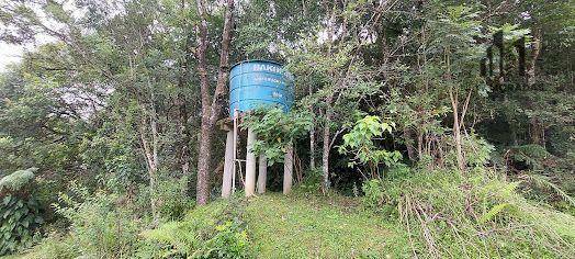 Chácara, 3 hectares - Foto 17