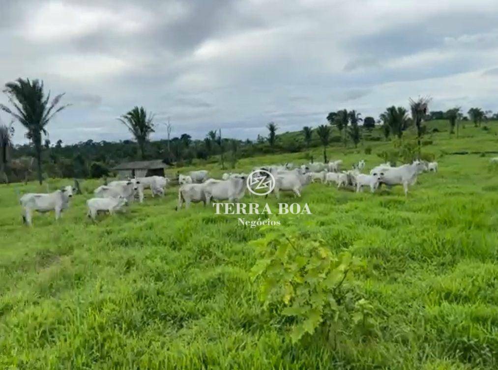 Fazenda à venda, 1452000M2 - Foto 5