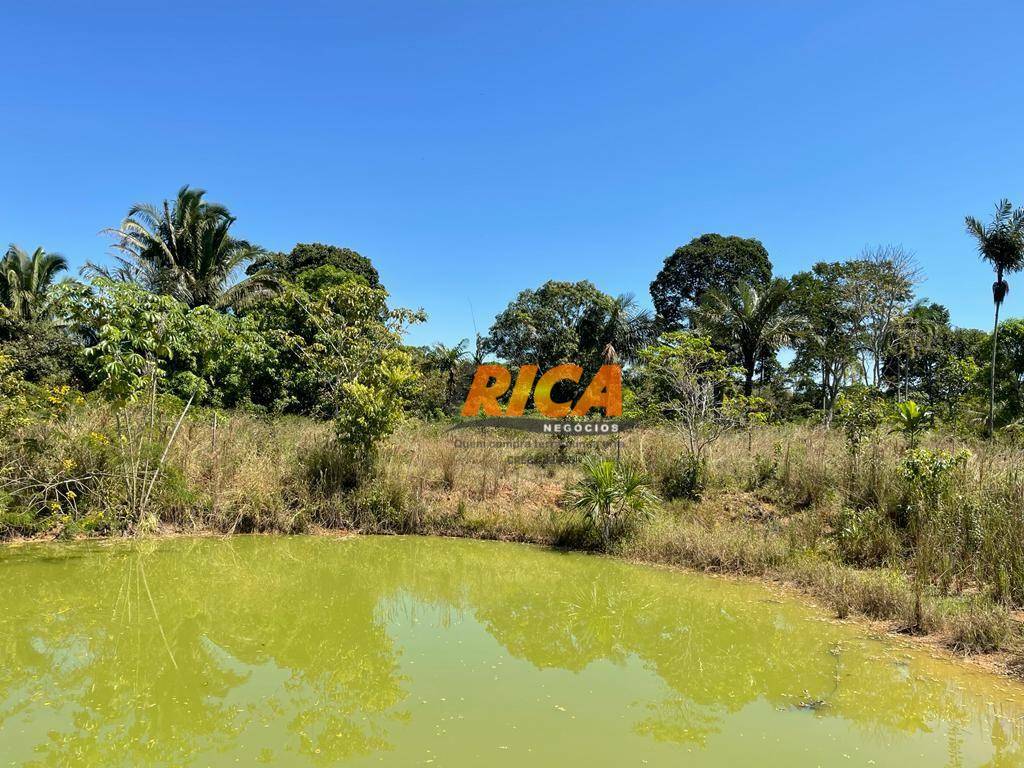 Chácara, 3 quartos, 2 hectares - Foto 9