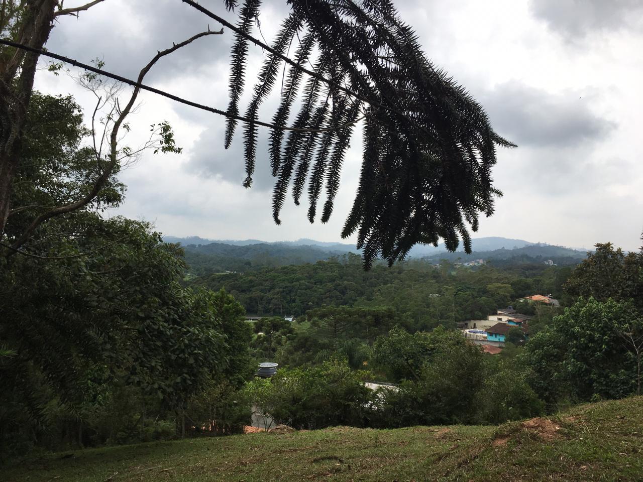 Fazenda à venda com 2 quartos, 1890m² - Foto 10