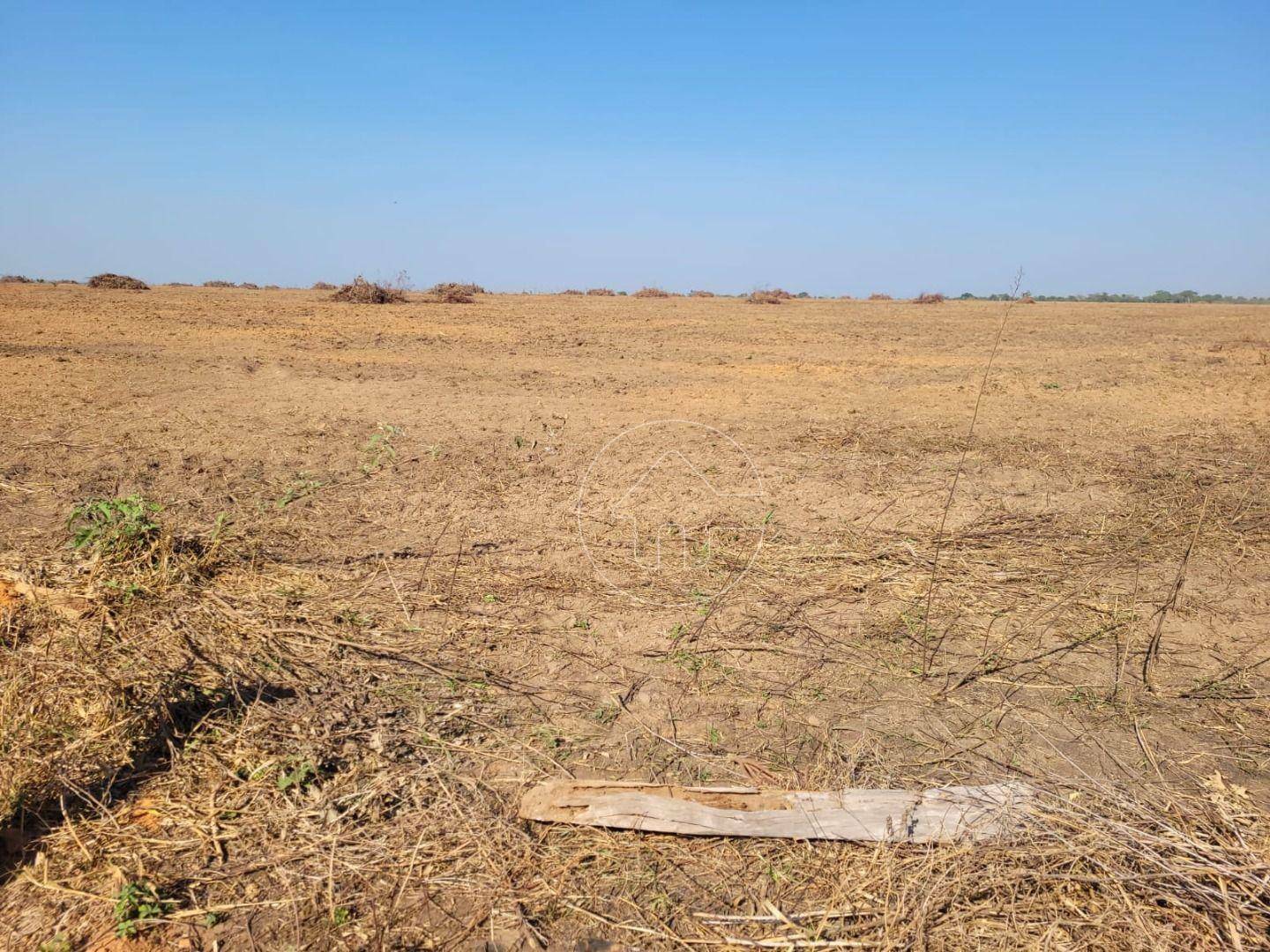 Fazenda à venda, 92830000M2 - Foto 17