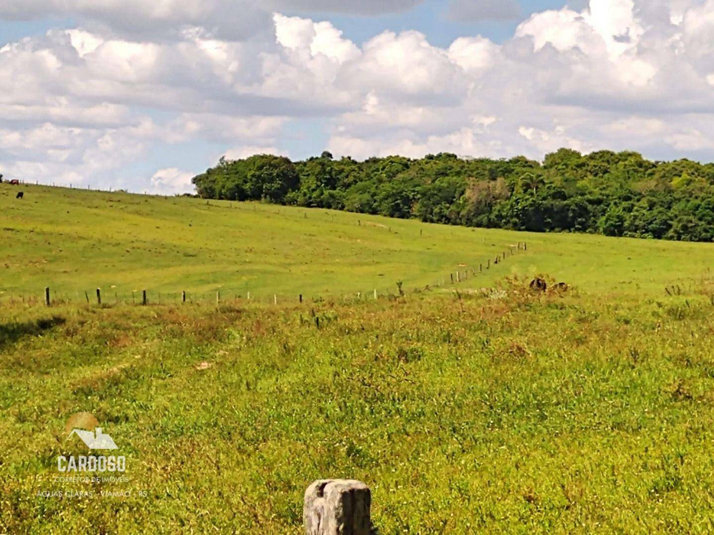 Fazenda à venda, 3160000M2 - Foto 8