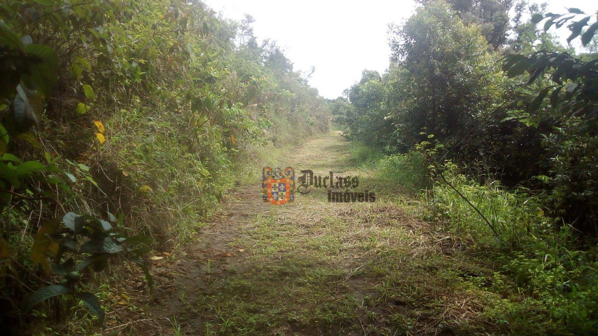Sítio à venda com 19 quartos, 1859m² - Foto 194