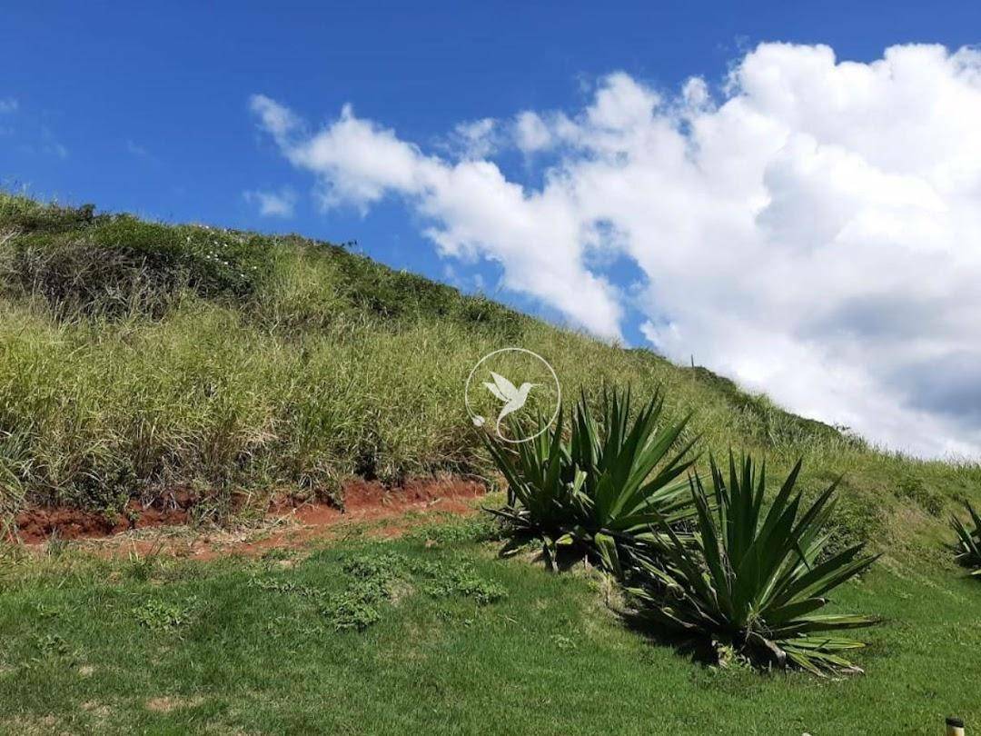 Terreno à venda, 9710M2 - Foto 22