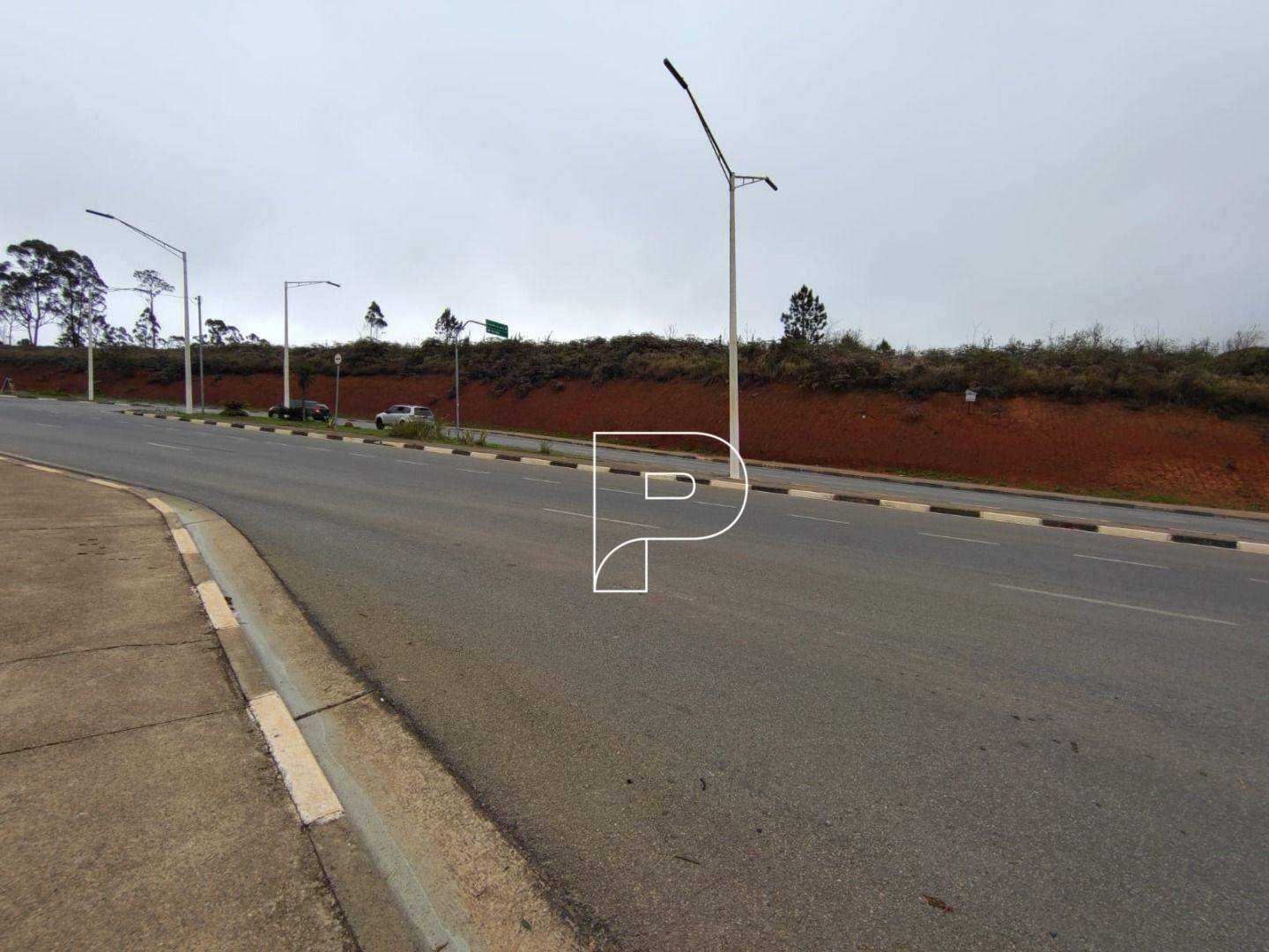 Terreno, 4 hectares - Foto 2