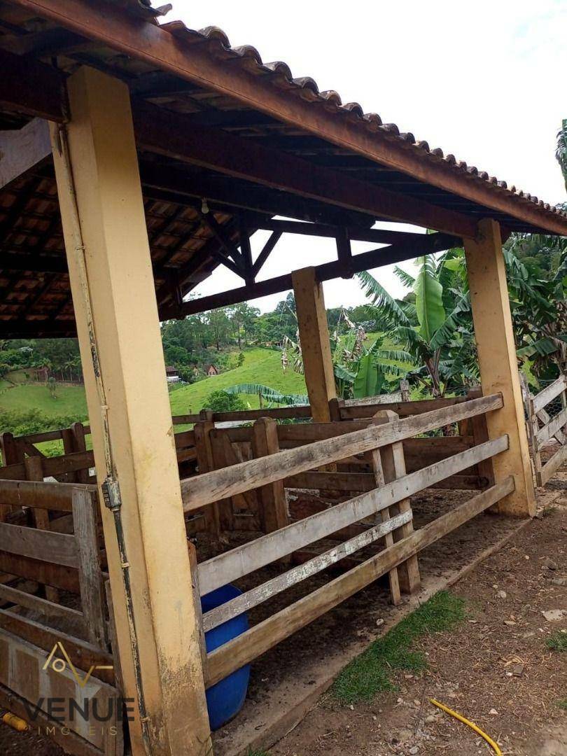 Fazenda à venda com 4 quartos, 200m² - Foto 30