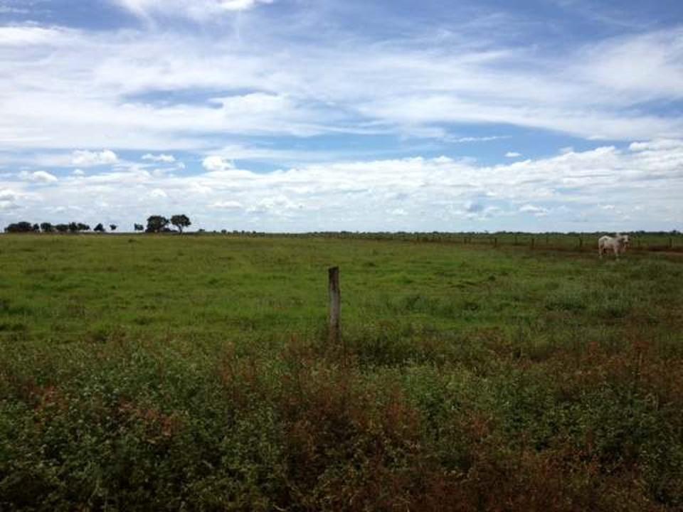 Fazenda à venda, 430000M2 - Foto 20