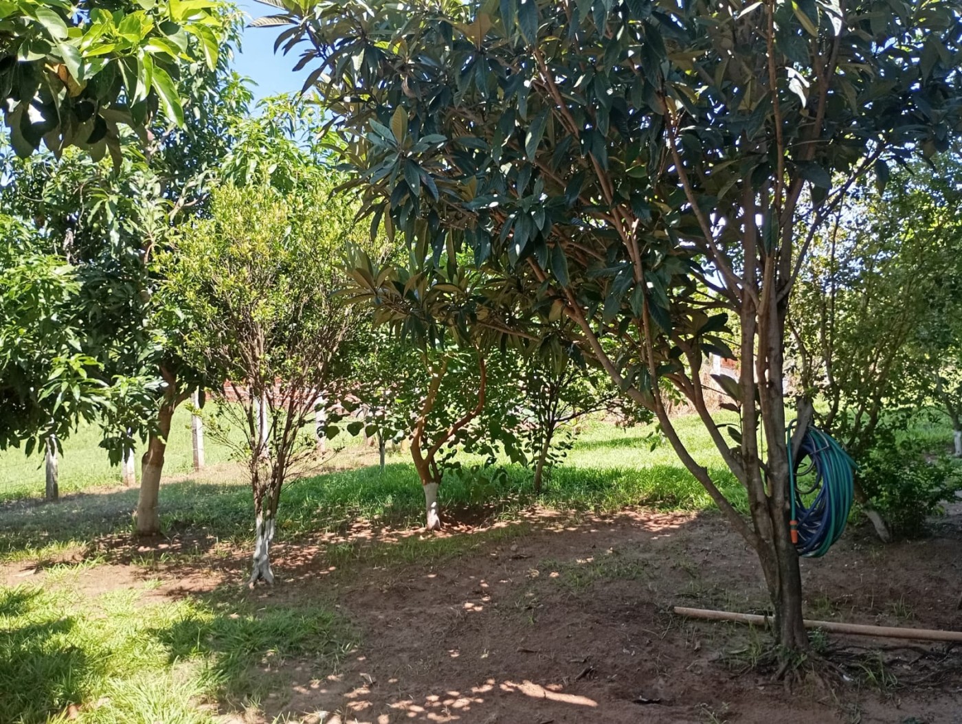 Chácara à venda com 3 quartos, 1500m² - Foto 12
