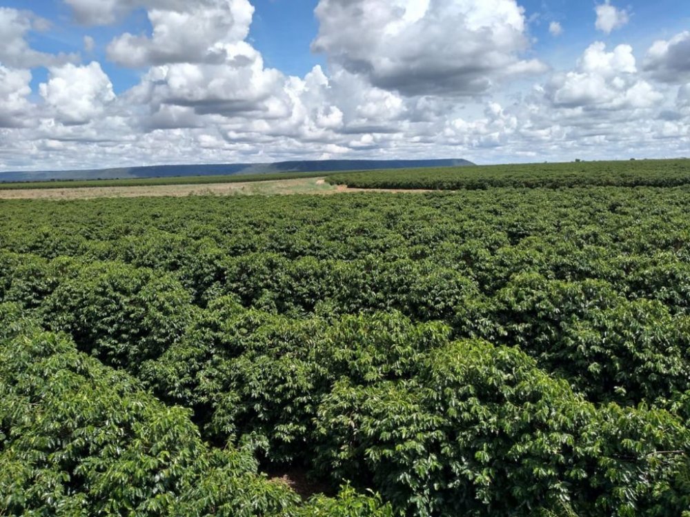 Fazenda à venda, 672m² - Foto 9