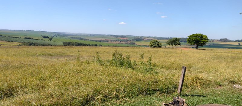 Fazenda, 108 hectares - Foto 9