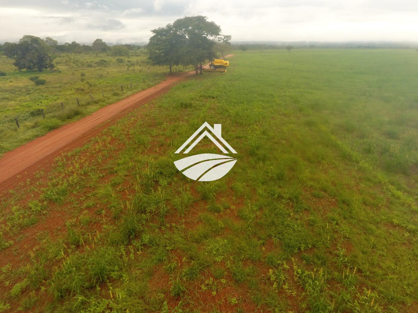 Fazenda à venda, 1m² - Foto 25