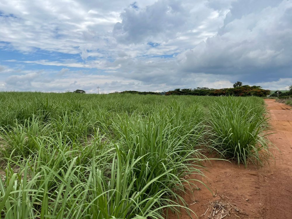 Fazenda à venda, 215m² - Foto 9