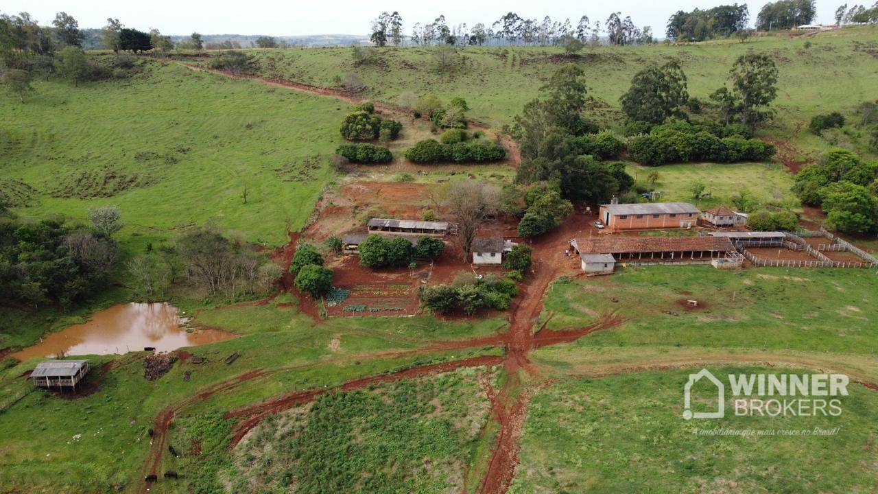 Fazenda à venda com 6 quartos, 600m² - Foto 1