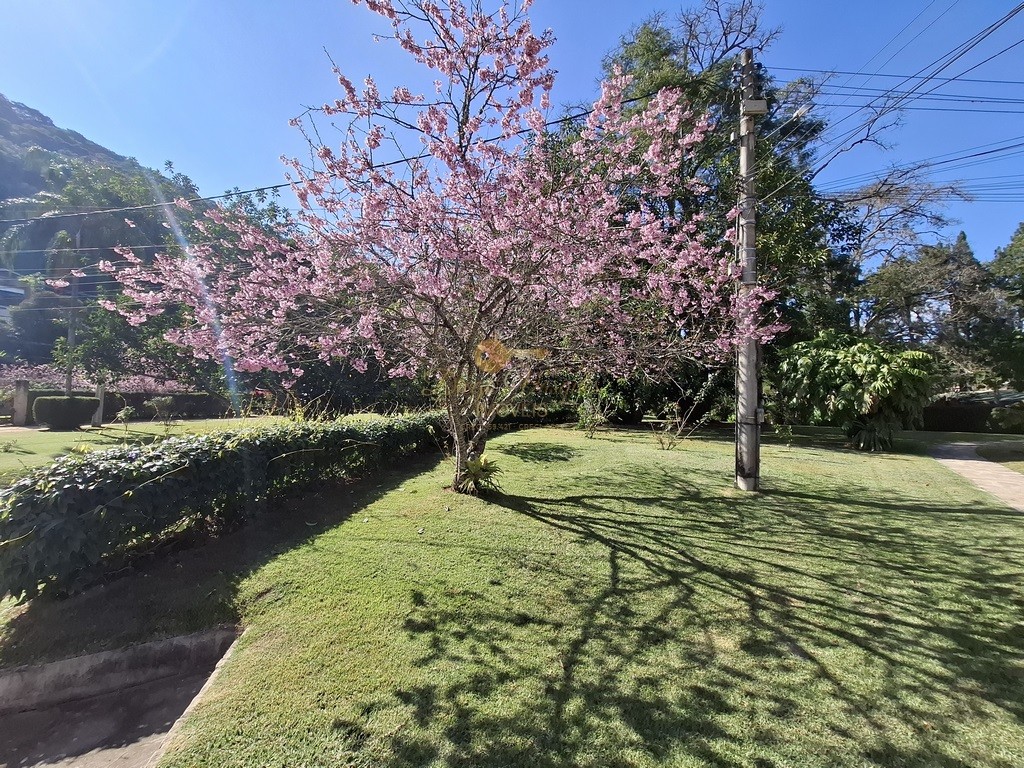 Apartamento à venda com 1 quarto, 40m² - Foto 10