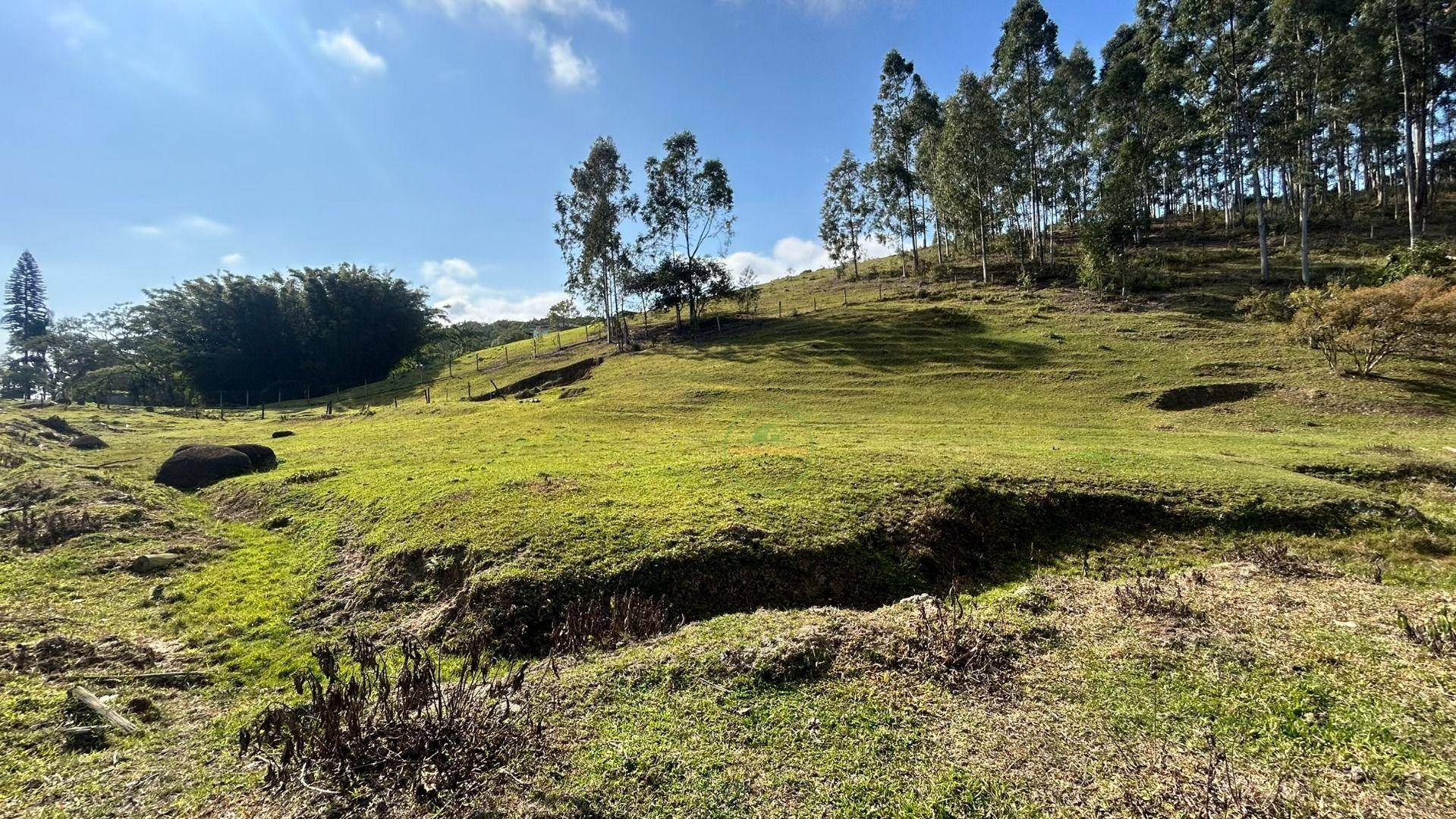 Sítio, 10000 m² - Foto 22