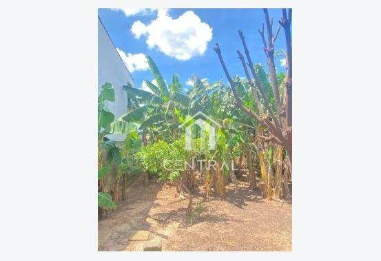 Chácara, 5 quartos, 2 hectares - Foto 5