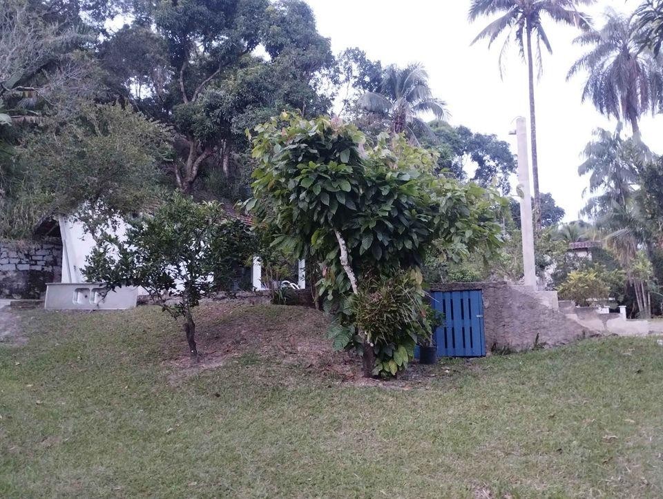 Sítio à venda com 2 quartos, 10000m² - Foto 9