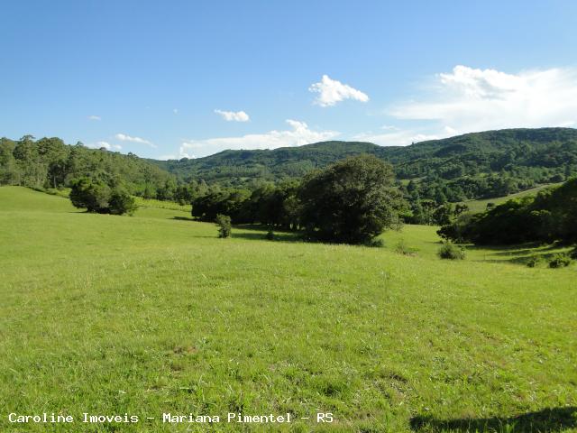 Fazenda à venda com 5 quartos, 625000m² - Foto 25