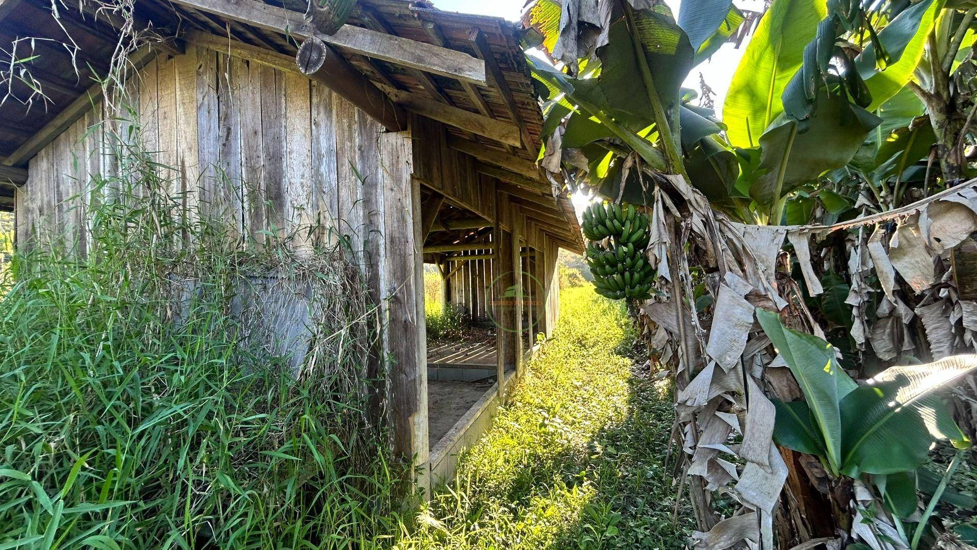 Sítio, 19 hectares - Foto 20