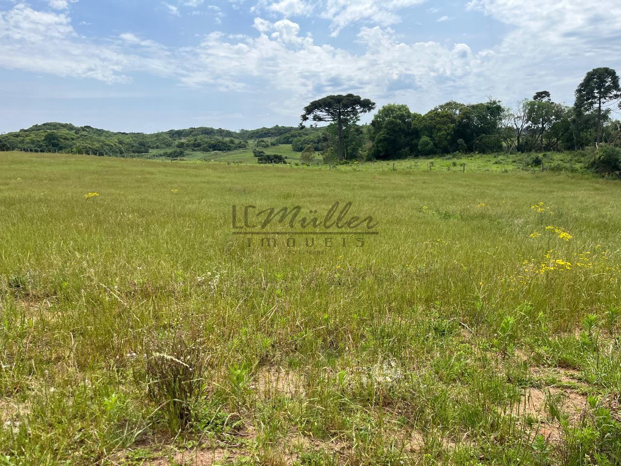 Fazenda-Sítio-Chácara, 37 m² - Foto 3