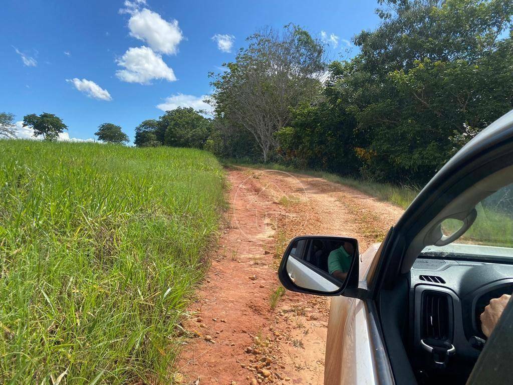 Fazenda-Sítio-Chácara, 484 hectares - Foto 4