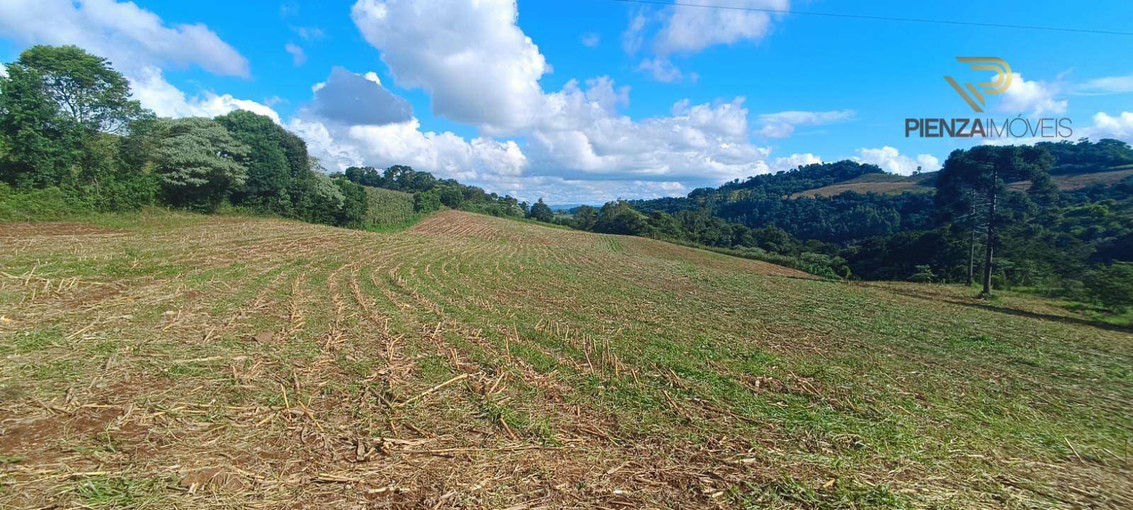 Terreno à venda, 140000M2 - Foto 6