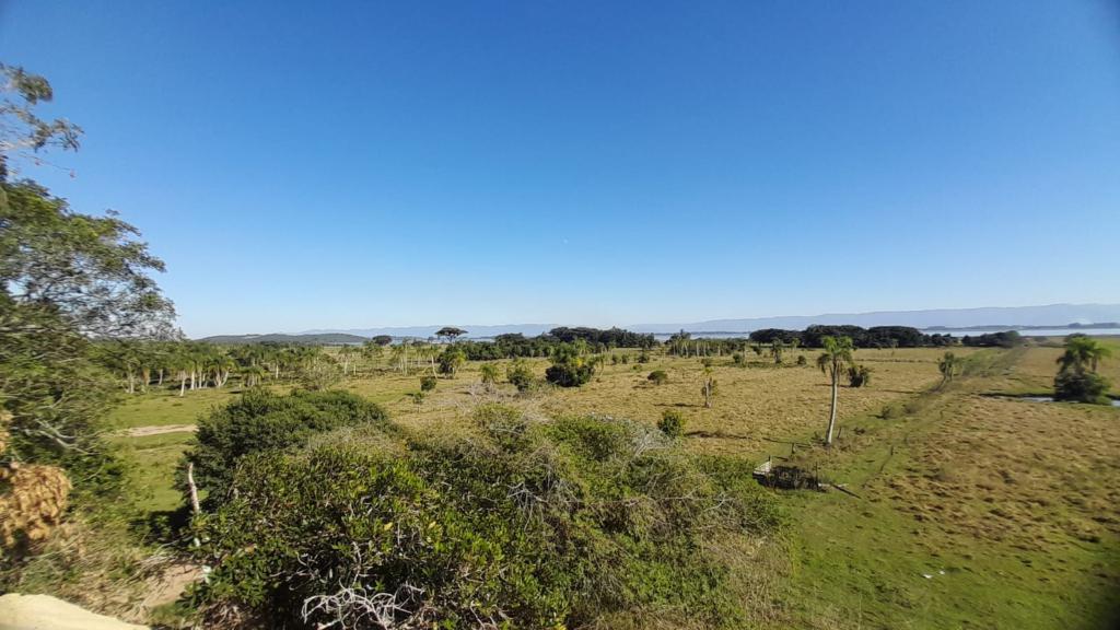 Fazenda à venda com 1 quarto, 45m² - Foto 5