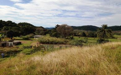 Fazenda à venda com 3 quartos, 110000m² - Foto 14