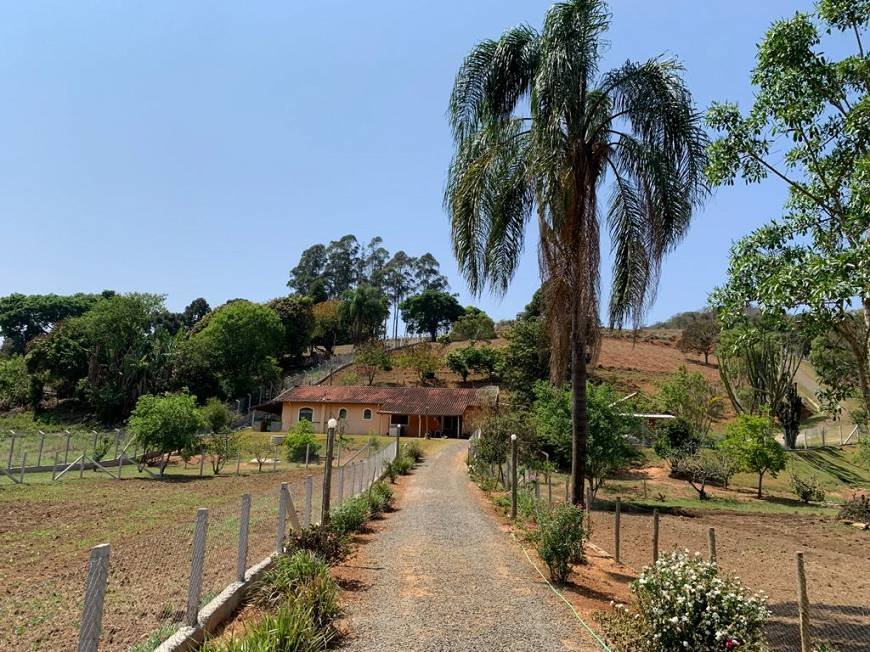 Sítio à venda com 4 quartos, 45m² - Foto 10