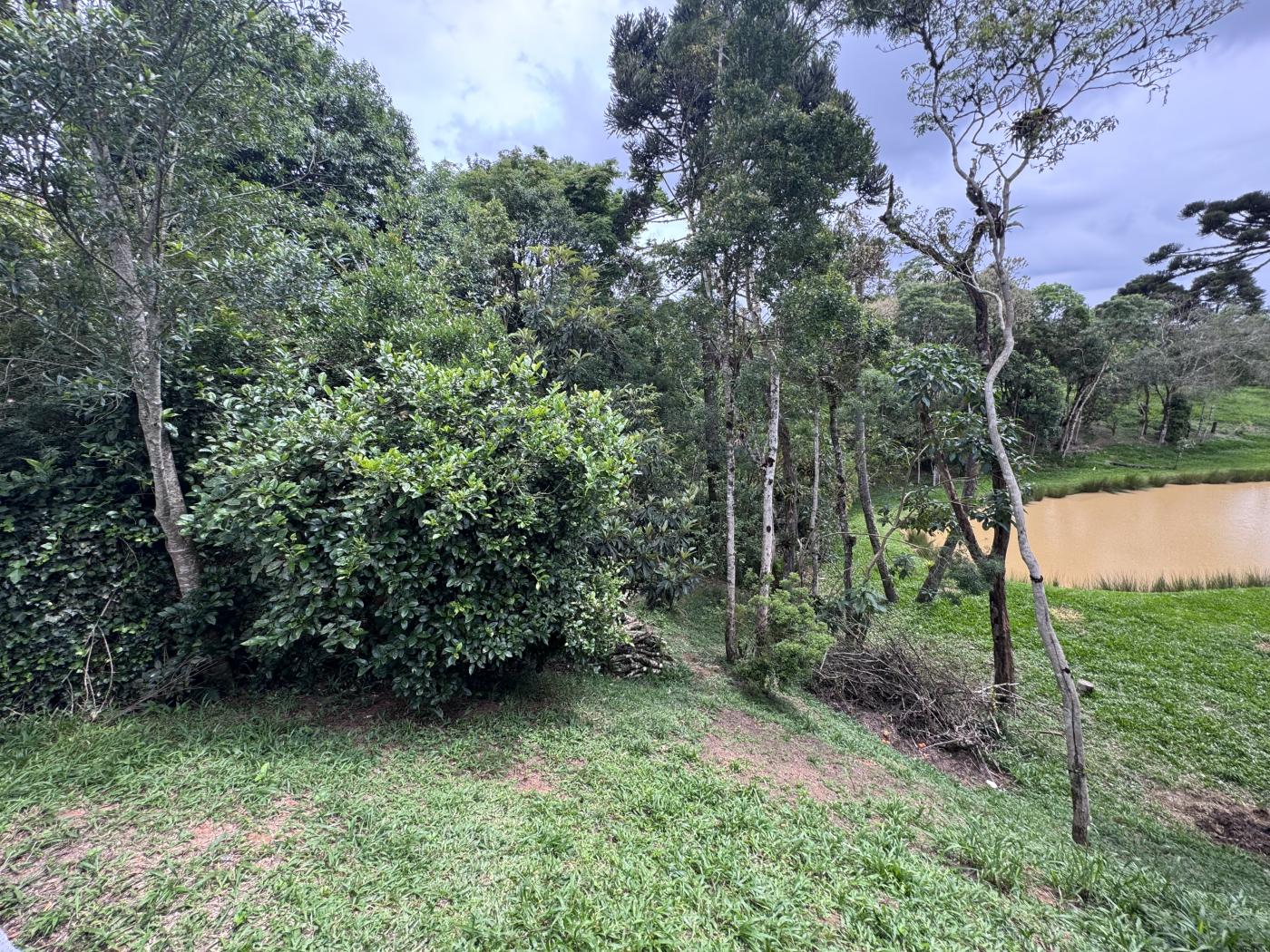 Chácara à venda com 4 quartos, 15000m² - Foto 34