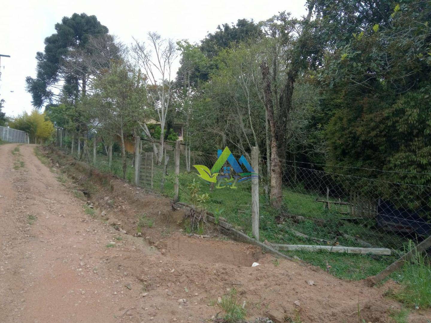 Sítio à venda com 2 quartos, 8697M2 - Foto 23