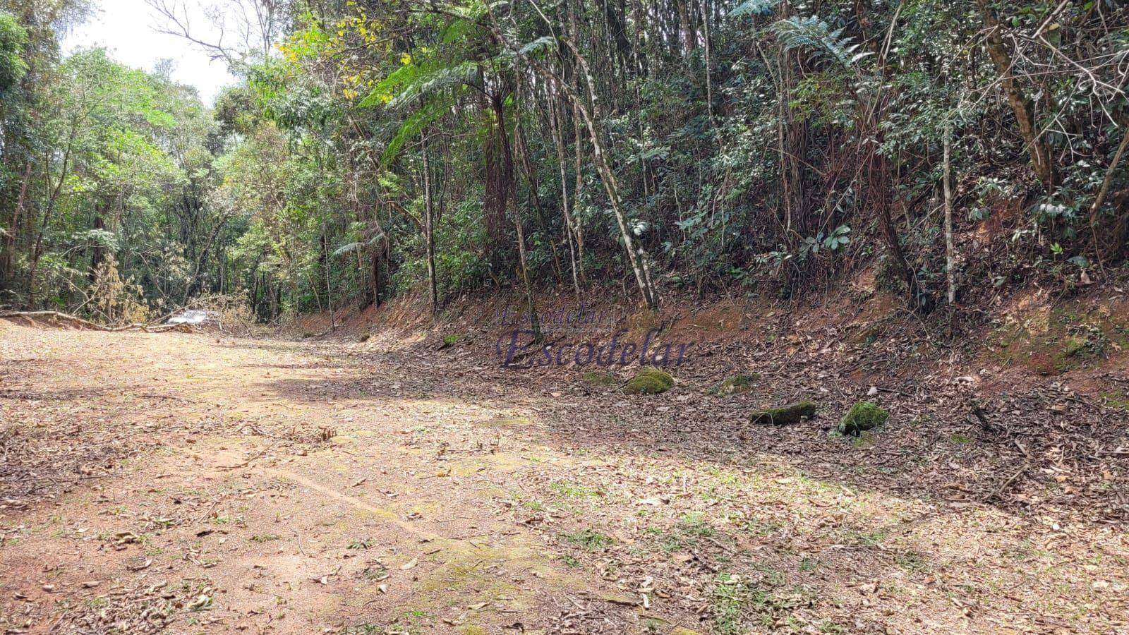 Loteamento e Condomínio à venda, 1180M2 - Foto 1