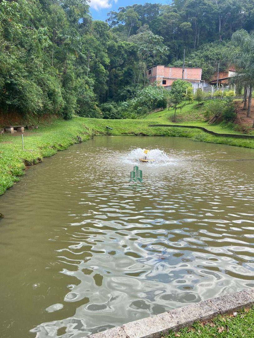 Chácara à venda com 3 quartos, 3000M2 - Foto 22