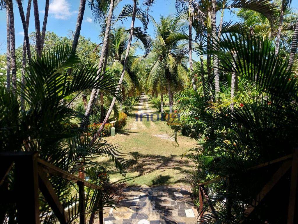 Chácara, 4 quartos, 2 hectares - Foto 3