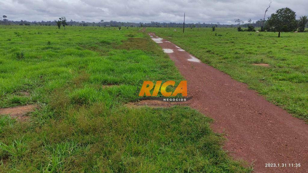 Fazenda à venda com 3 quartos, 5280000M2 - Foto 5